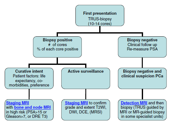Diagnostic value of MR imaging for prostatic lesions